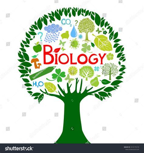 biological clipart